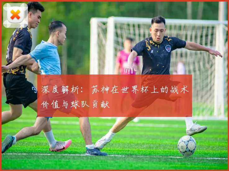 深度解析：苏神在世界杯上的战术价值与球队贡献