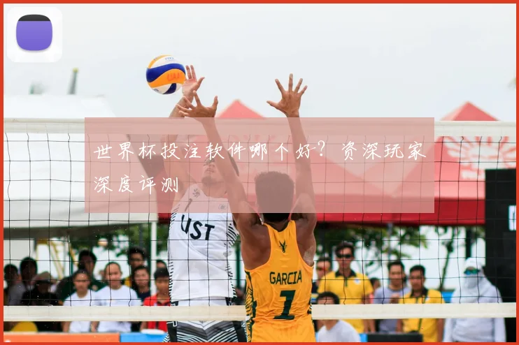 世界杯投注软件哪个好？资深玩家深度评测