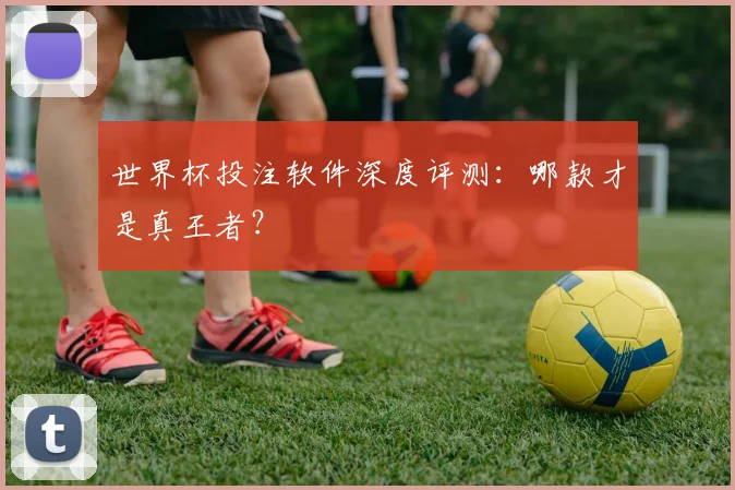 世界杯投注软件深度评测：哪款才是真王者？